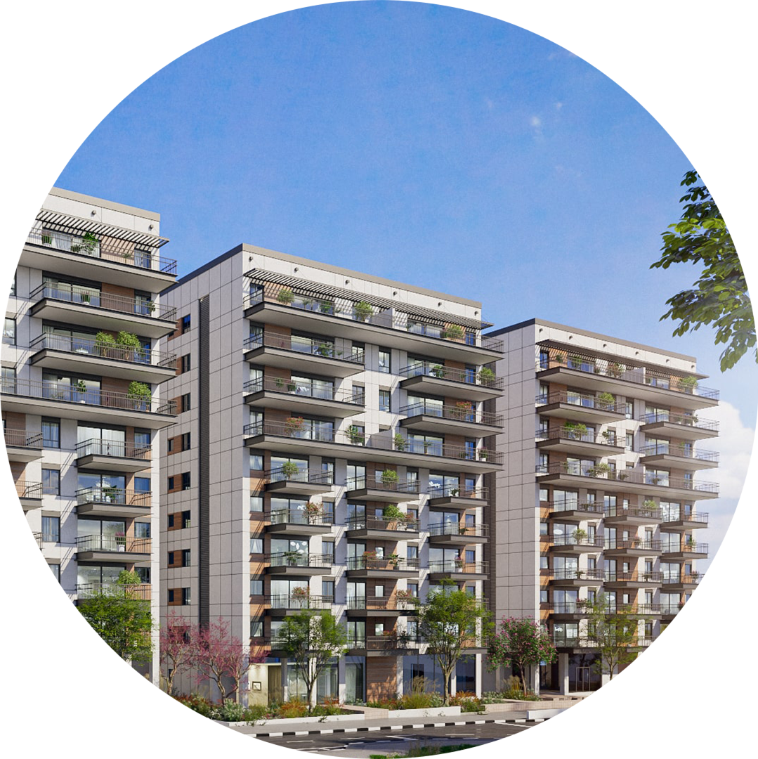 הורדים - הדמיות סופיות (4)