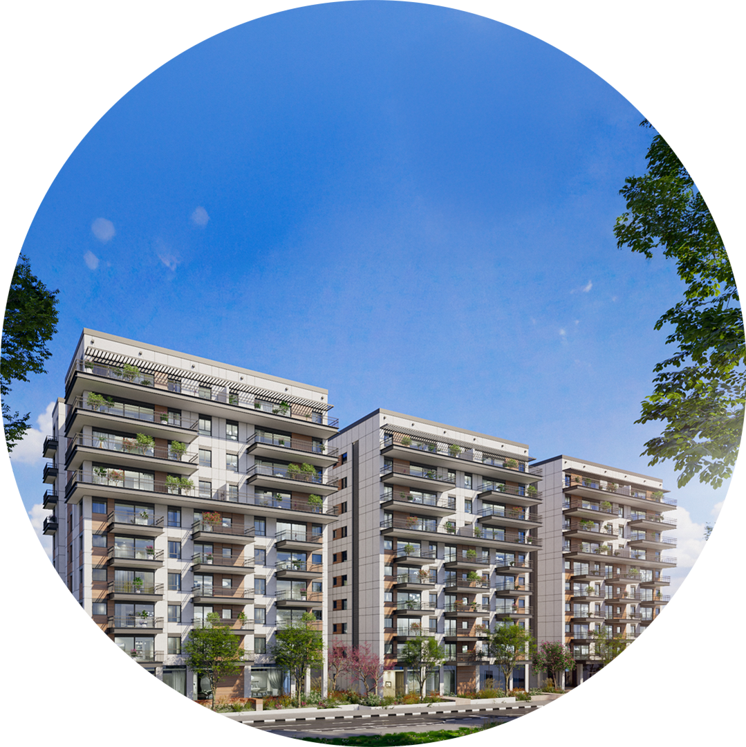 הורדים - הדמיות סופיות (7)