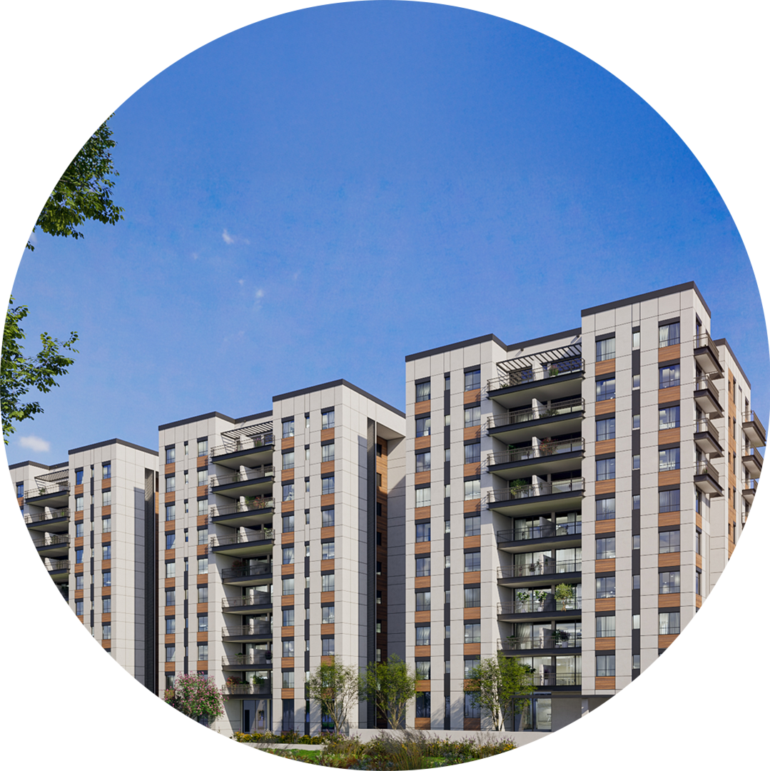 הורדים - הדמיות סופיות (8)